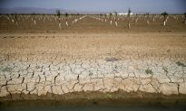 Global Water Crisis Worsening