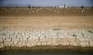 California's Water Paradox: Why Enough Will Never Be Enough