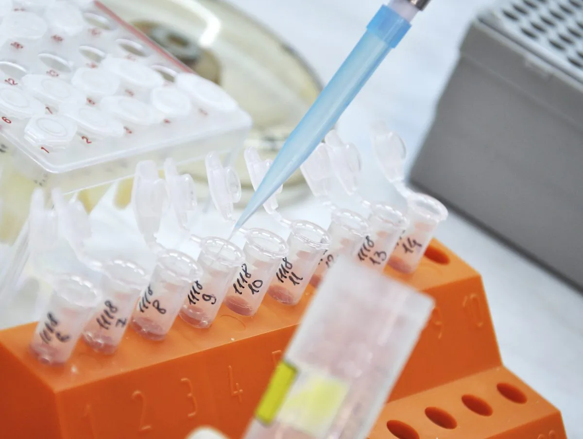 "This finding suggests that atmospheric BPA releases may contaminate local surface water, leading to greater exposure of humans or wildlife," says Don Tillitt. (zabava_t/iStock)