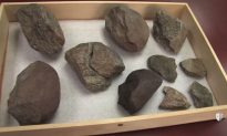 3.3-Million-Year-Old Stone Tools Push Back Archaeological Record by a Whopping 700,000 Years