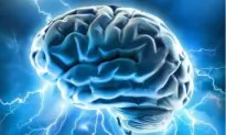 Brains Direct Neurons Like Air Traffic Controllers Direct Planes