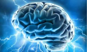 Brains Direct Neurons Like Air Traffic Controllers Direct Planes