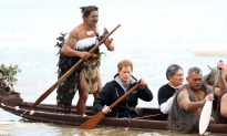 Eight Activities to Do in New Zealand (Like Prince Harry)