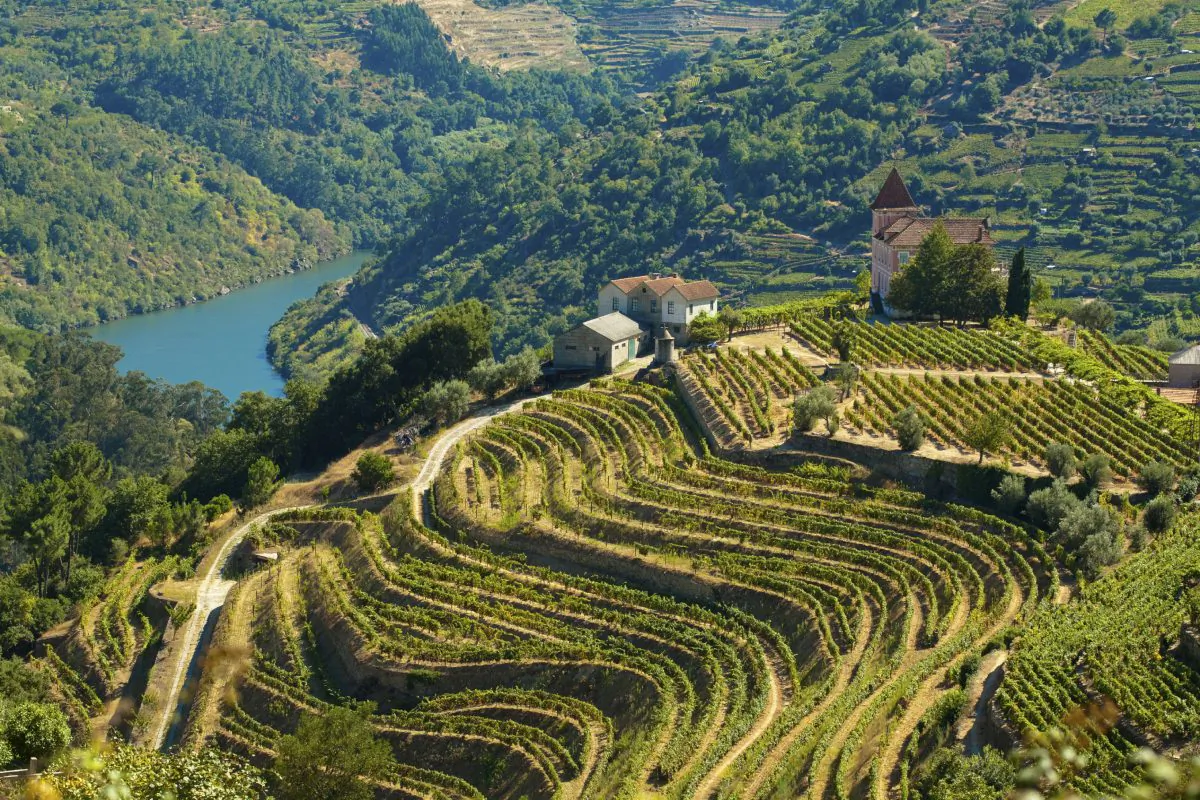 The Douro river (PRG-Estudio, iStock)
