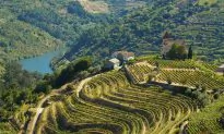 5 Reasons Why You Should Go to Portugal Right Now