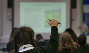 Discovery-Based Learning to Blame for Students' Declining Math Skills