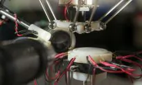 Watch Robot Snatch Flies Without Killing Them