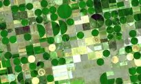 Technologies Will Tackle Irrigation Inefficiencies in Agriculture’s Drier Future