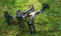 This Six-Legged Robot Learns to Limp Like an Animal (Video)