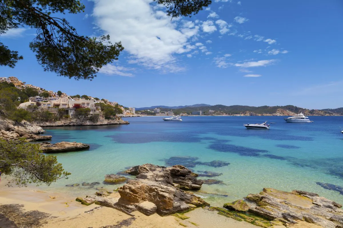 Cala Fornells View in Paguera, Majorca (VICTOR PELAEZ TORRES, iStock)