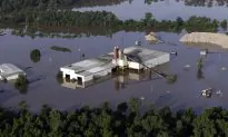 Receding Floodwaters Lead to Homecoming Heartbreak