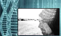 DNA Studies Show Mind and Body Are One