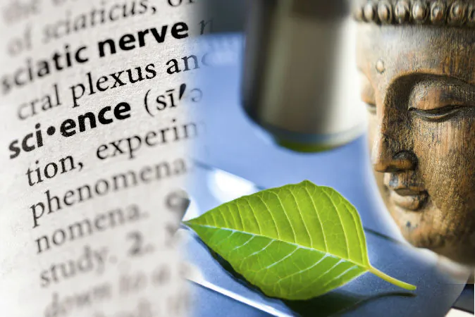 Dictionary entry for science (Firebrand Photography/iStock) Image of leaf under microscope (MTR/iStock) Buddha statue (Berenike/iStock)