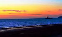 10 Reasons Why You Should Visit Jersey This Year