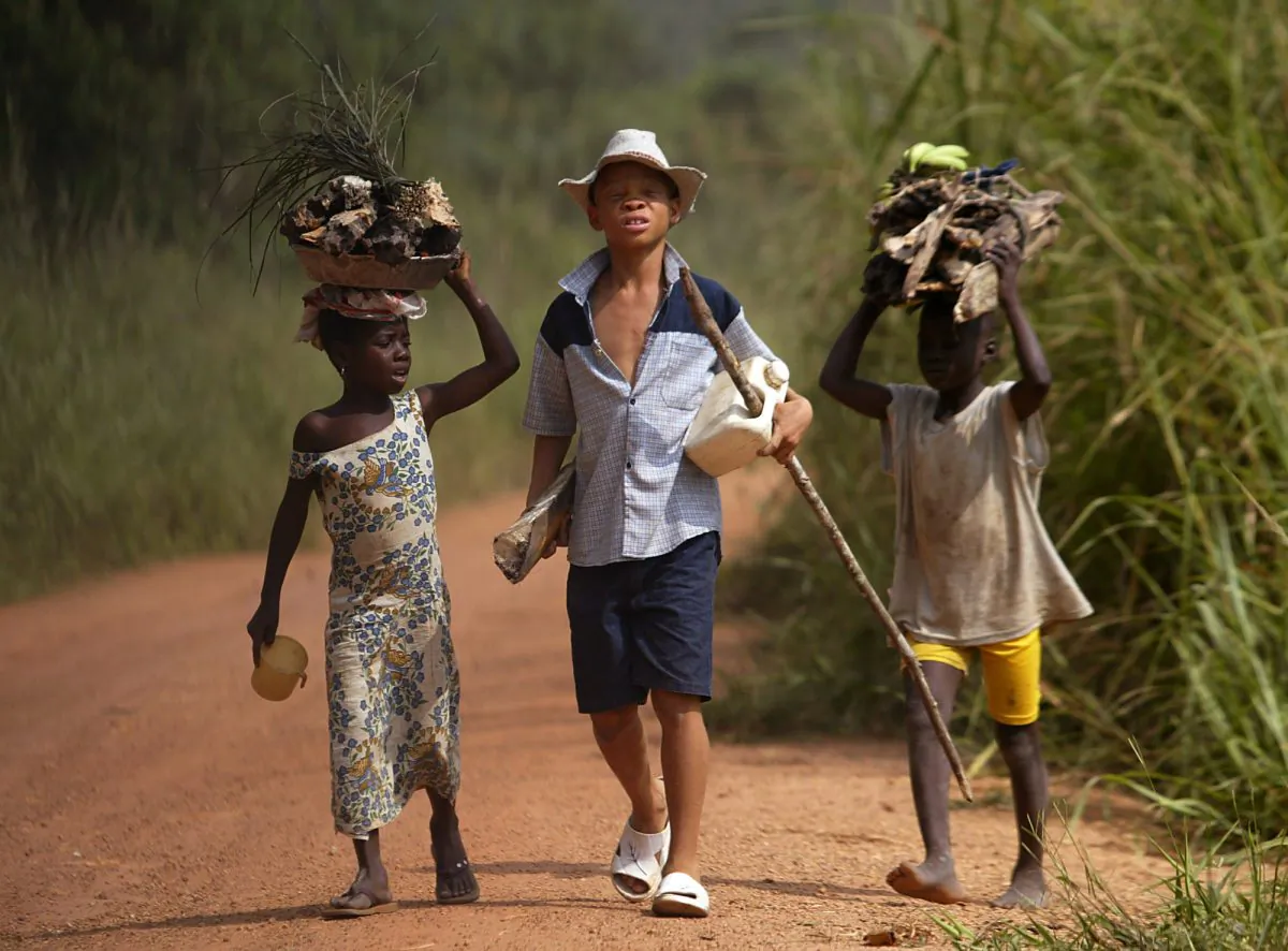 Children living in a cocoa producing village walk back from the fields on the outskirts of the town of Oume, Ivory Coast. Chinese direct investment in Africa has shrank considerably during China's economic slowdown. (AP/Photo Schalk van Zuydam)