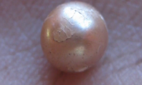 Archaeologists Uncover Rare 2,000-Year-Old Pearl (Video)