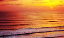 Healing from the Inside Out: How Emotions Can Cause “Dis”-ease and What You Can Do About It