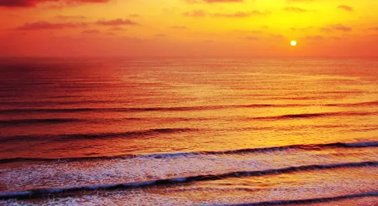 Healing from the Inside Out: How Emotions Can Cause “Dis”-ease and What You Can Do About It