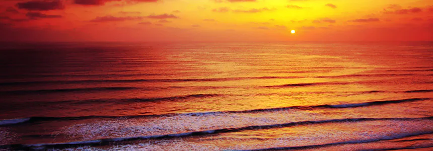 Emotional healing can have profound and transformative effects on our physical health.