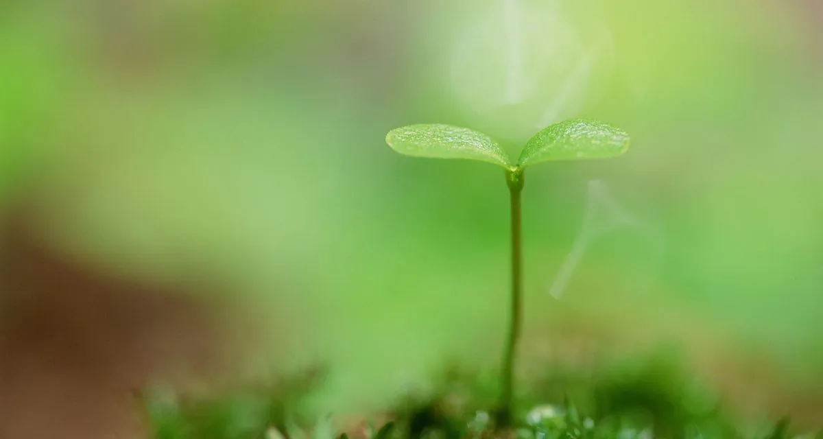 Sickness may offer us unexpected opportunities for growth and healing.