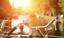 Tripsite Bike Tours Rock the Boat