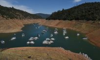 A Year Later, California Drought-Relief Money Is Unspent