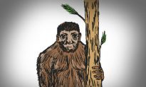 Scientists Who Believe in Bigfoot