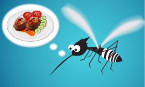 What Attracts Mosquitoes and How to Repel Them (Video)