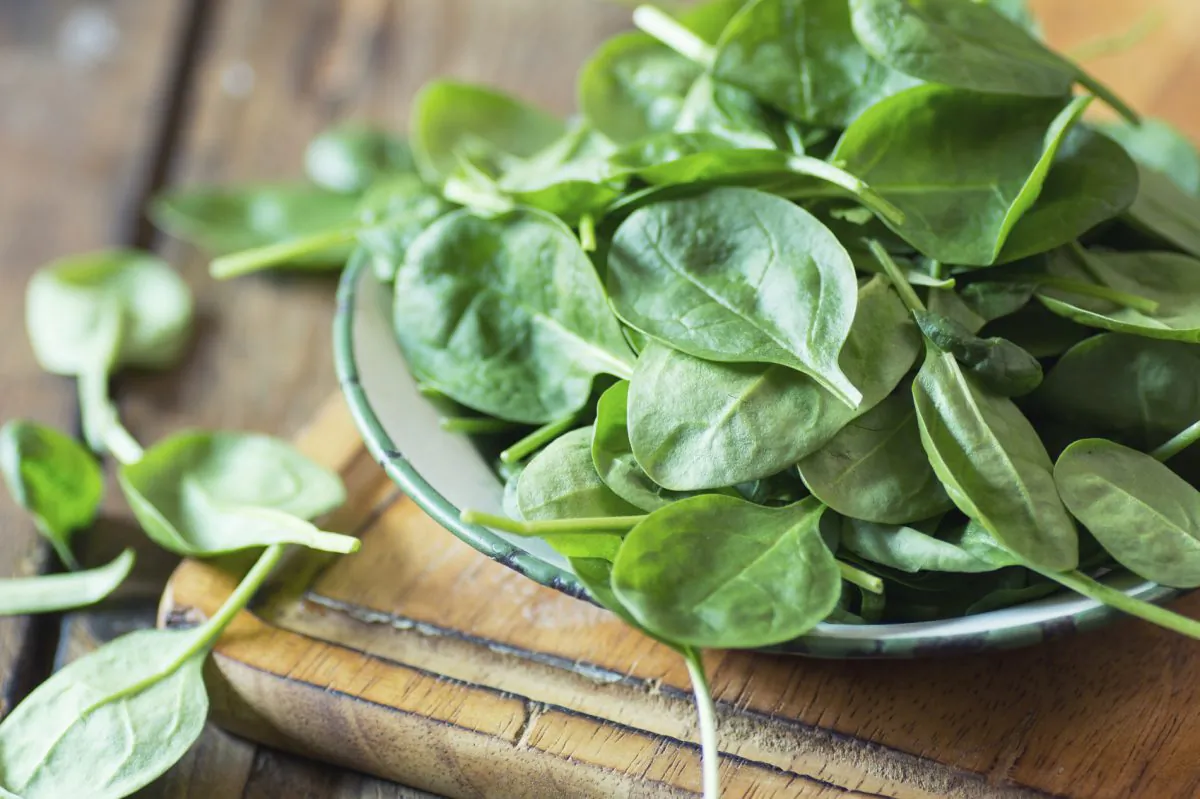 Spinach in a file photograph. (Lecic via iStock)