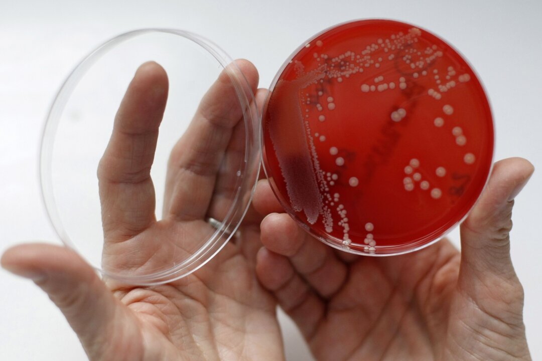 COVID-19 Pandemic Has Brought a Life-Threatening Infection Spike in Hospitals, Raising Serious Concerns