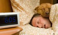 What Bugs Can You Catch From Your Pets?