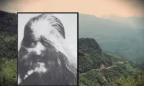Wildman, China’s Version of Bigfoot: Sightings, Scientific Tests, Theories