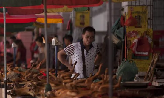 China’s Dog Meat Festival Sparks Campaign of Outrage