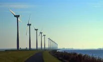 Green Energy Is More Popular If It’s the Default