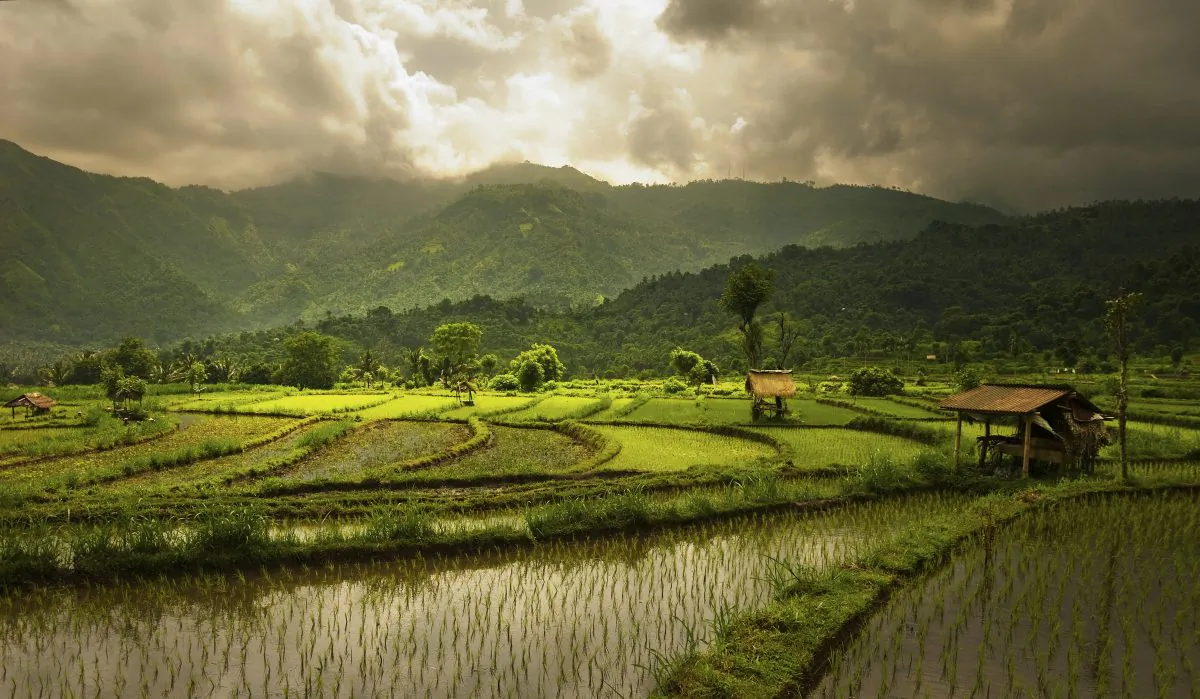 (Lpieuchot, iStock)