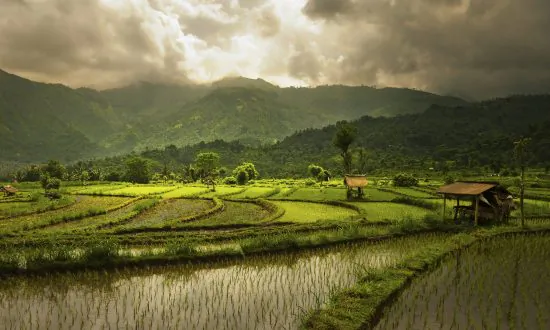 Rote Island East of Bali