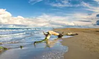 Secrets of Spain: The Delightful Delta de L’Ebre
