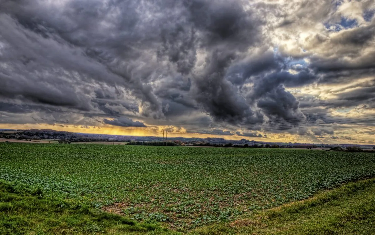 How to trim agriculture’s global warming footprint? (Neil Howard, CC BY-NC 2.0)