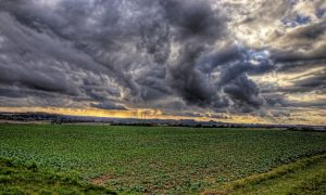 The Ground Exhales: Reducing Agriculture's Greenhouse Gas Emissions