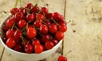 Not Just a Snack: How Tart Cherry Became a Recovery Essential