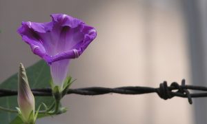 Astounding Coincidences That Saved Lives During the Holocaust—Fate?