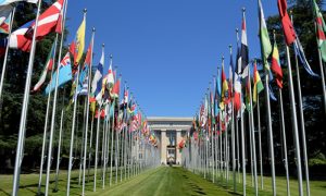 United Nations Called Upon to Act on China Organ Trafficking