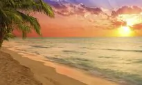 The Best Beach Destination in Mexico – Riviera Maya