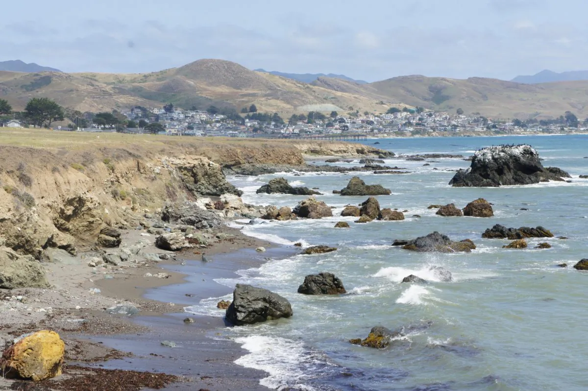 The Estero Bluffs State Park in San Luis Obispo County, with the town of Cayucos in the distance. The park, which provides habitat for several endangered species, features a variety of scenic sites along its coast. (Beverly Mann)