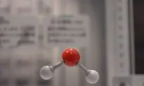 Low-Cost Water Splitter Makes Hydrogen for 200 Hours