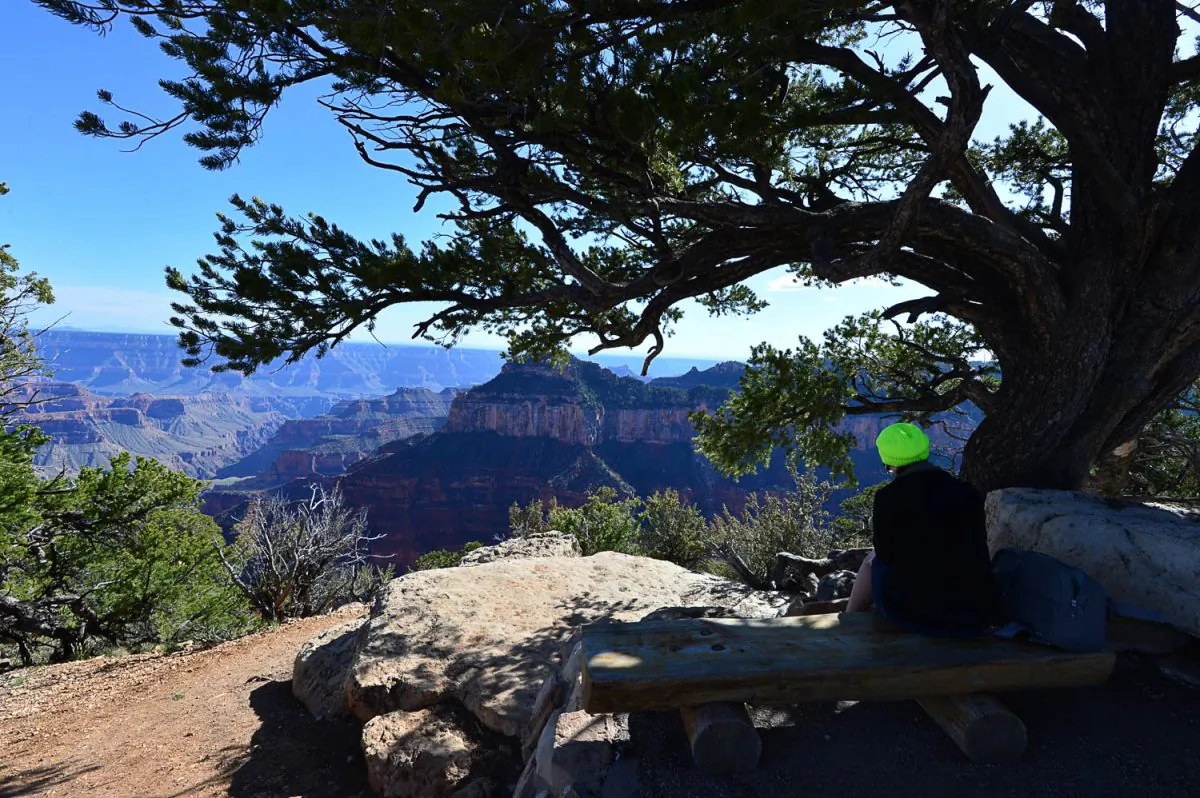 A girl waiting for the sunset quietly at Grand Canyon North Rim. (Bill Cox/Epoch Times)