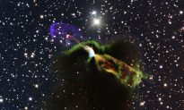 Astronomers See Dust That Formed Early Stars
