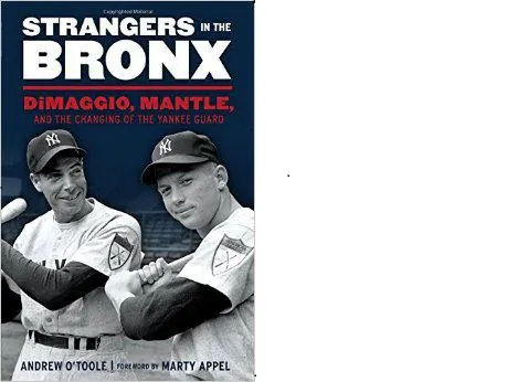 SportsBookShelf