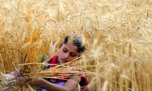 Eating Whole Grains Is Good for You—but What Exactly Is a Whole Grain?