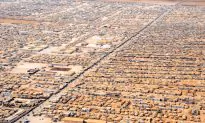 Our Refugee World